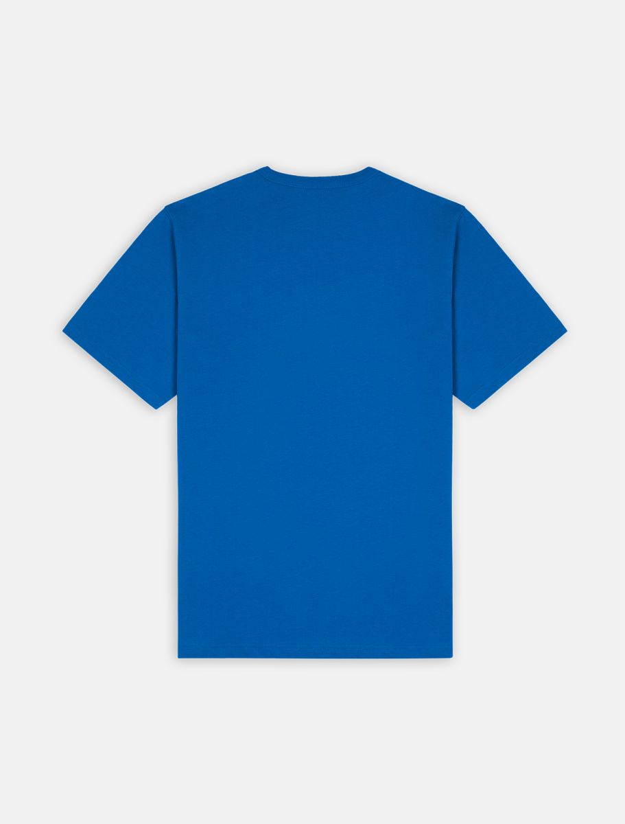 Dickies Skateboarding Mount Vista T-Shirt - Satin Sky